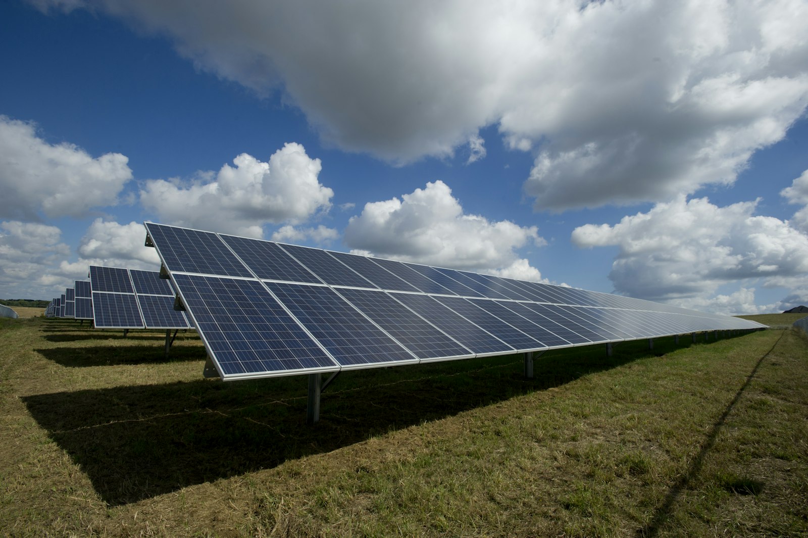 Safeguarding Capital and Commercial Freedom in Louisiana's Energy Market